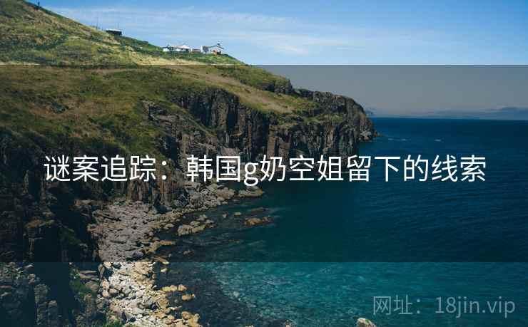 谜案追踪：韩国g奶空姐留下的线索