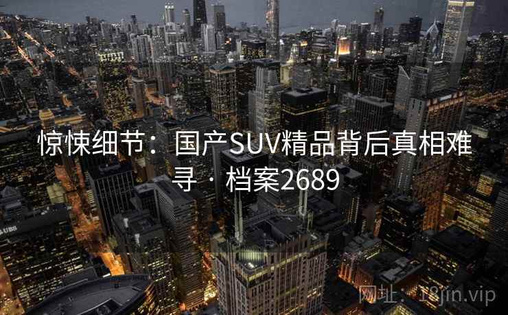惊悚细节：国产SUV精品背后真相难寻 · 档案2689
